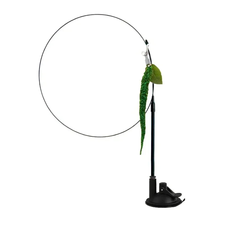 Interactive Peacock Feather Cat Toy with Bell and Suction Cup-My Little Pet