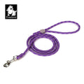 Truelove Fashion Nylon Rope Dog Leash for Small Pets-My Little Pet