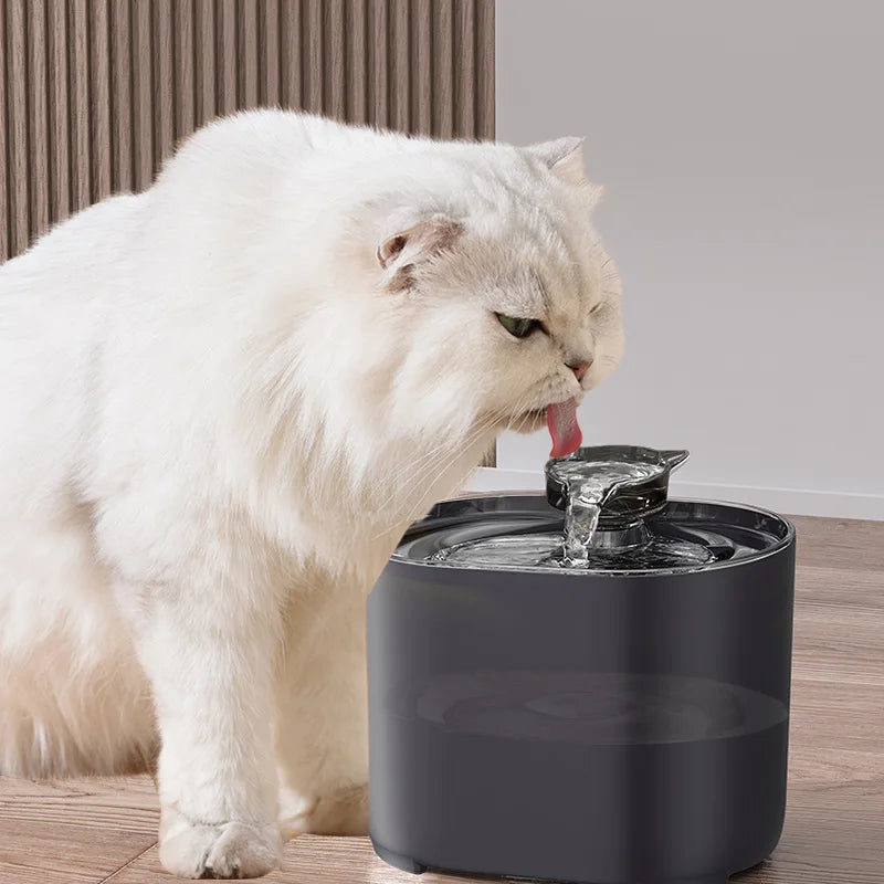 USB Electric Cat Water Fountain with Filter and Quiet Operation-My Little Pet