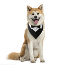 Elegant Adjustable Dog Tuxedo Collar with Bow Tie for Special Occasions-My Little Pet