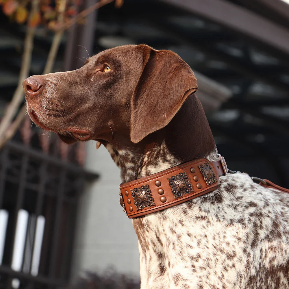 Luxury Genuine Leather Dog Collar with Spikes and Metal Rivets, 2inch Wide-My Little Pet