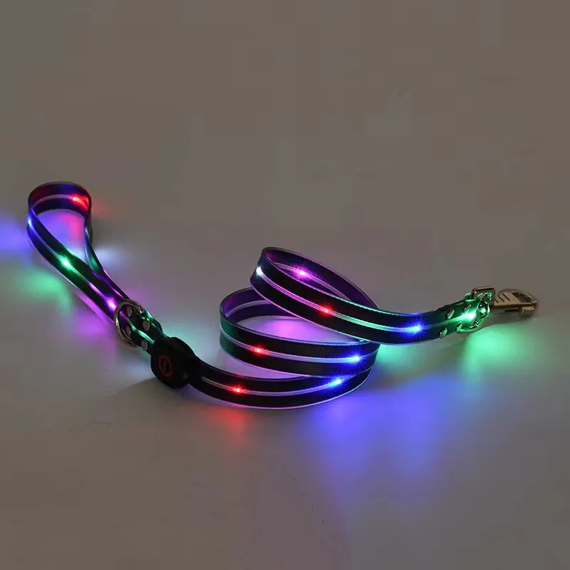 Rechargeable LED Dog Leash for Enhanced Nighttime Safety-My Little Pet