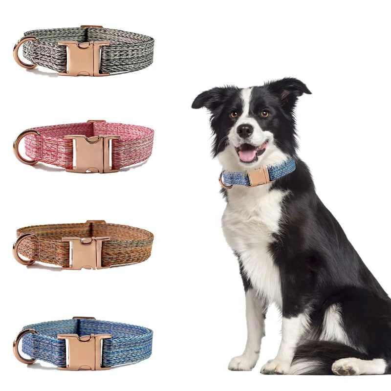 Personalized Dog Collar and Leash Set with Engraved Nameplate-My Little Pet