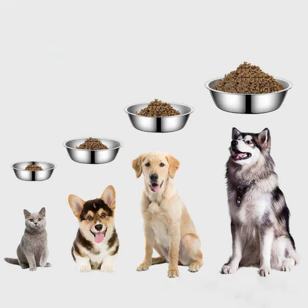 Premium Stainless Steel Pet Bowl for Dogs and Cats-My Little Pet