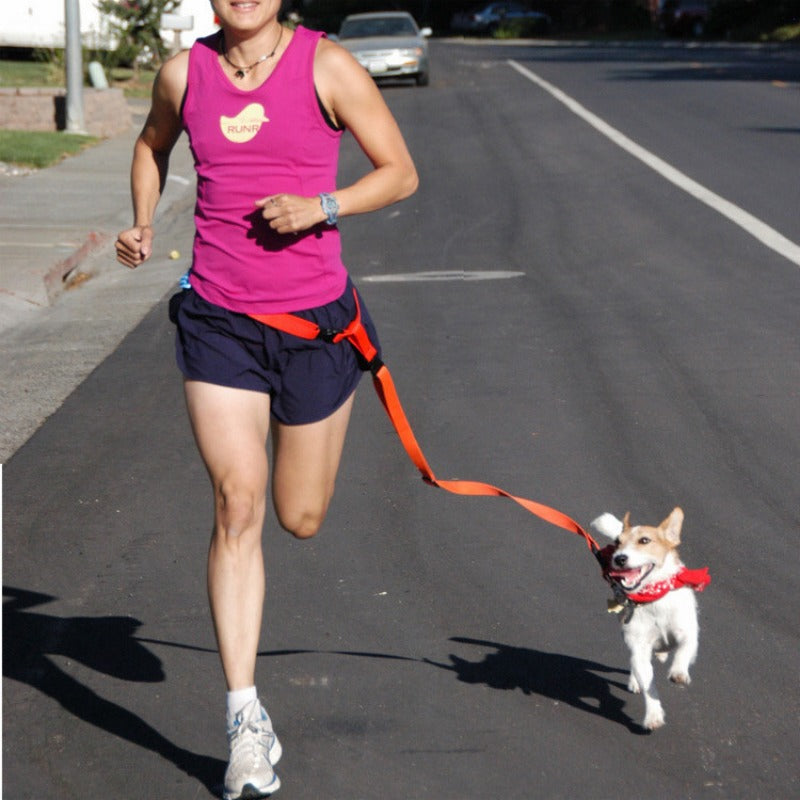 Hands-Free Adjustable Dog Leash for Active Owners-My Little Pet