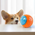 Squeaky Dog Chew Ball - Soft TPR Toy for Teeth Cleaning and Training-My Little Pet