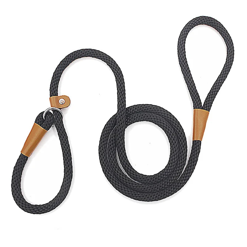 Adjustable Nylon Dog Leash with Multi-Feature Safety Design for Medium and Large Dogs-My Little Pet