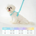 Macarone Color Pet Harness and Leash Set for Small Dogs and Cats-My Little Pet