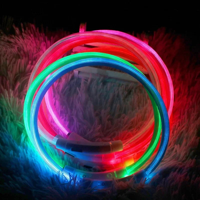 Rechargeable LED Dog Collar - High Visibility & Adjustable-My Little Pet