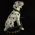 CC SIMON Rechargeable LED Dog Collar - Enhanced Night Safety with Multiple Flash Modes-My Little Pet