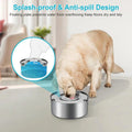 Stainless Steel Dog Water Bowl with No-Spill Design-My Little Pet