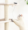 Interactive Electric Cat Toy with Rotating Ball and Flutter Features-My Little Pet