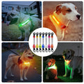 LED Safety Collar & Leash for Dogs - Waterproof with Flashing Lights-My Little Pet