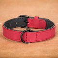 Premium Leather Dog Collar for Large Breeds-My Little Pet