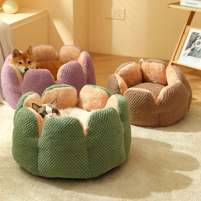 Cozy Cactus Petal-Shaped Pet Bed - Plush Cat and Dog Sleeping Cushion-My Little Pet