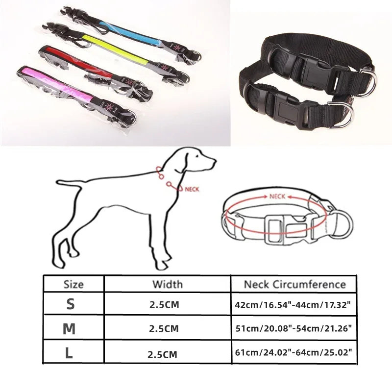 USB Rechargeable LED Dog Collar - Adjustable, Flashing Light Safety Collar for All Dog Sizes-My Little Pet