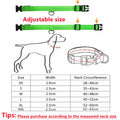 Rechargeable LED Dog Collar - Adjustable, Luminous Safety Collar for Pets-My Little Pet