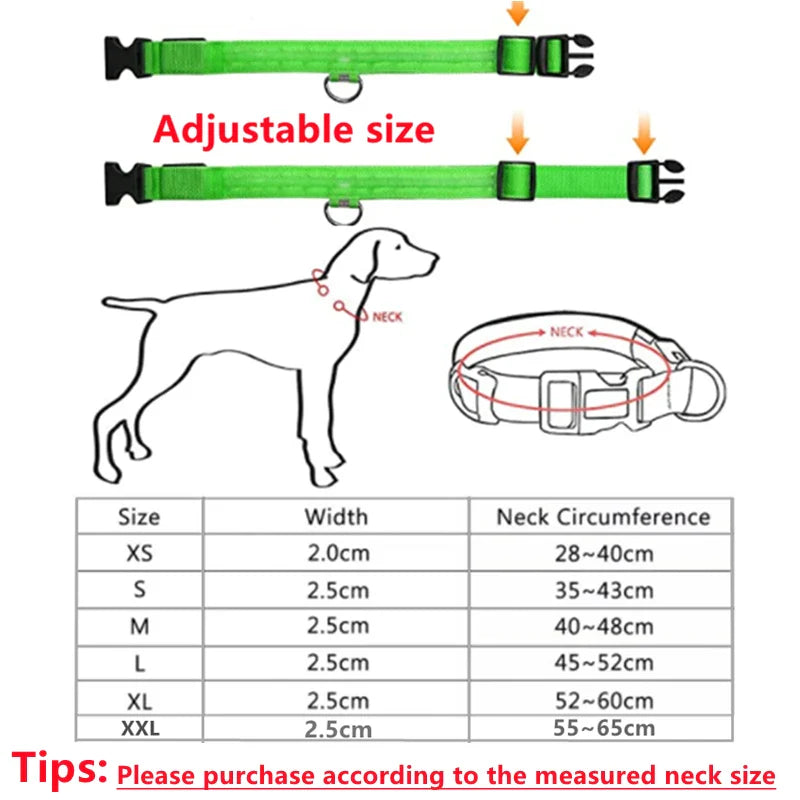 Rechargeable LED Dog Collar - Adjustable, Luminous Safety Collar for Pets-My Little Pet