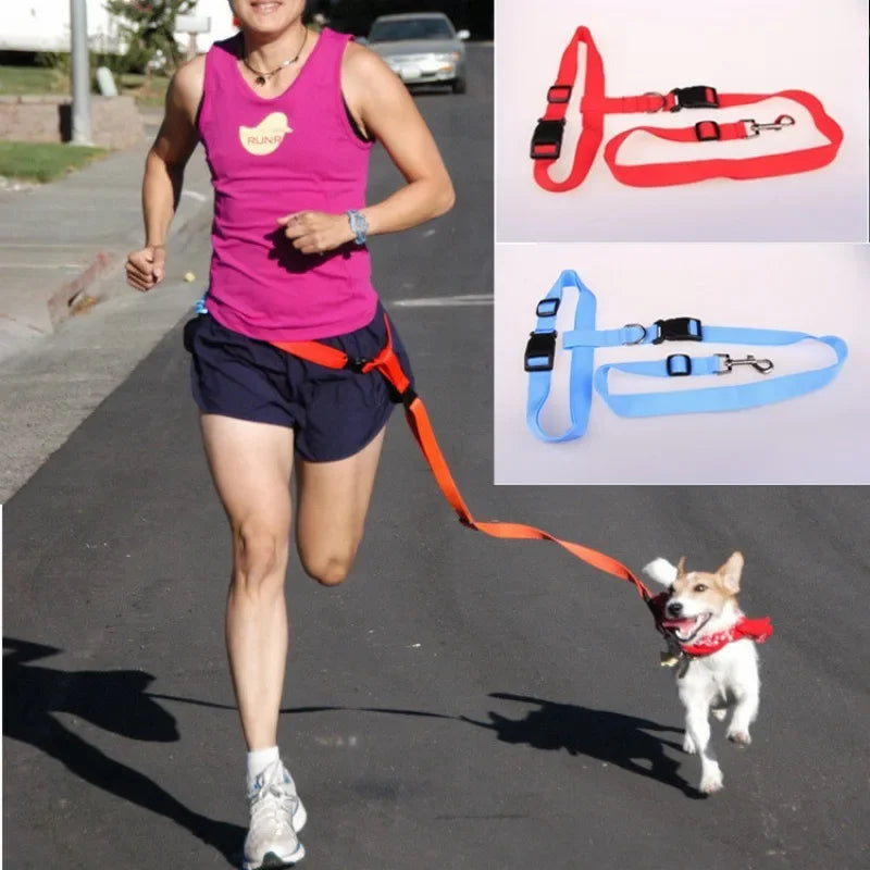 Hands-Free Adjustable Dog Leash for Active Owners-My Little Pet