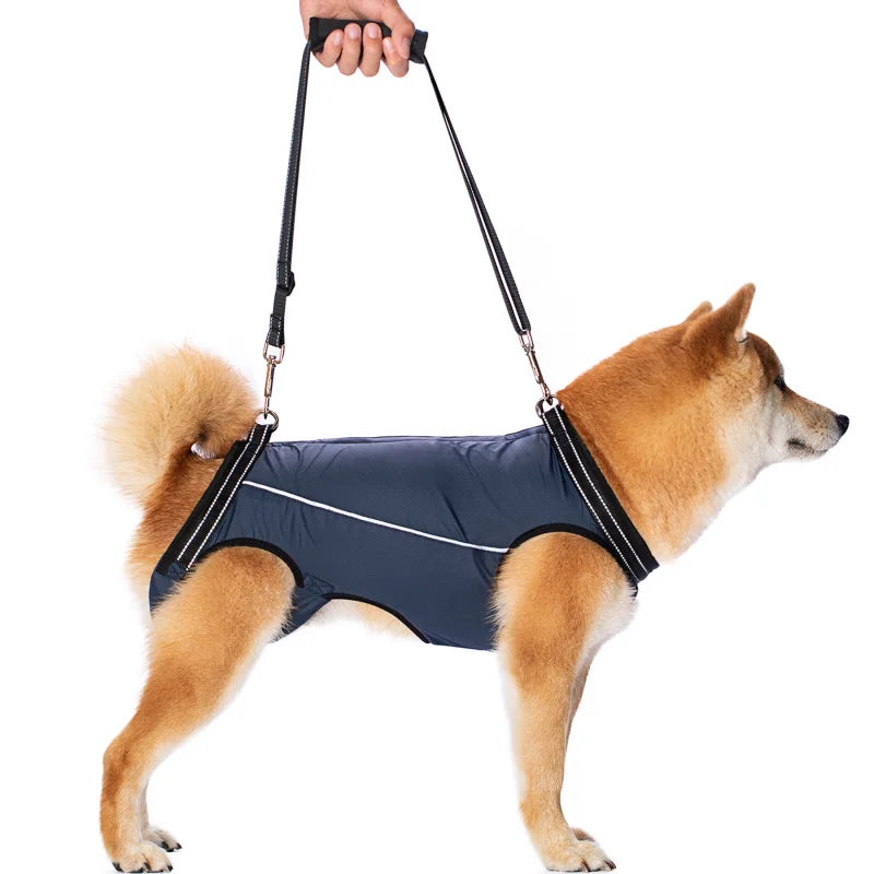 Adjustable Dog Rehabilitation Harness with Padded Straps-My Little Pet