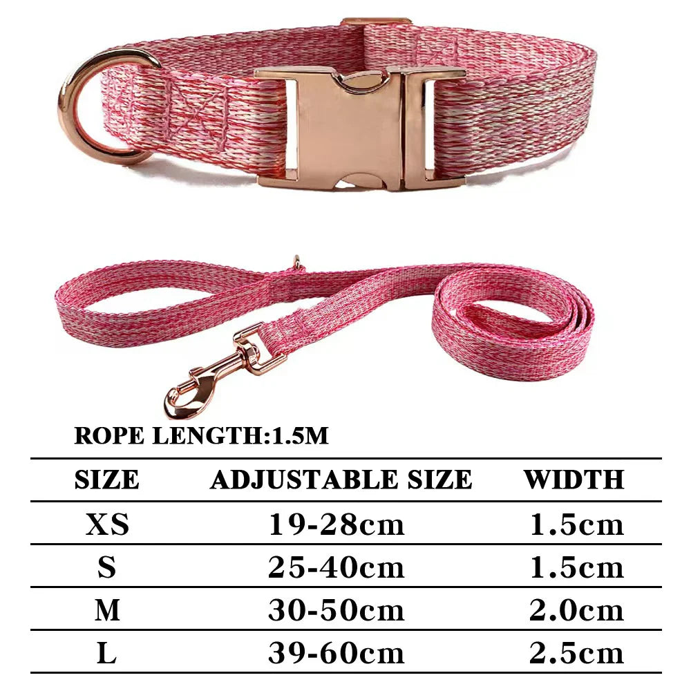 Personalized Dog Collar and Leash Set with Engraved Nameplate-My Little Pet