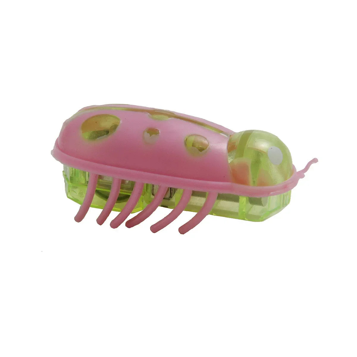 Interactive Electric Ladybird Beetle Toy for Cats-My Little Pet