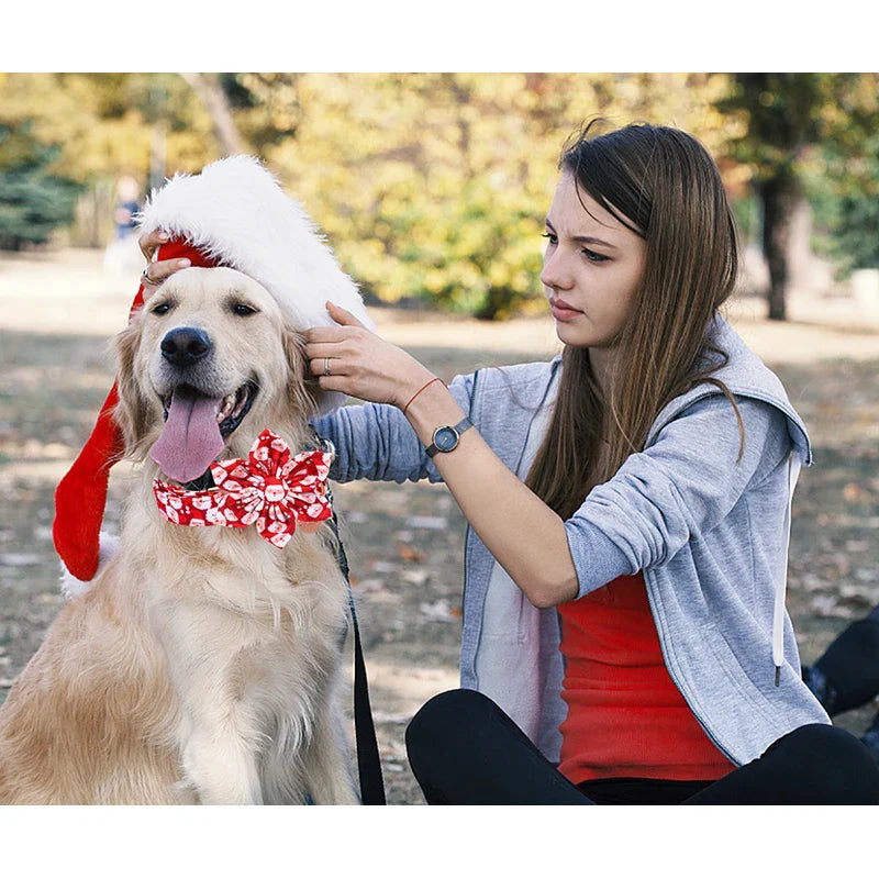 Personalized Christmas Dog Collar with Bow - Red Santa Design for All Sizes-My Little Pet