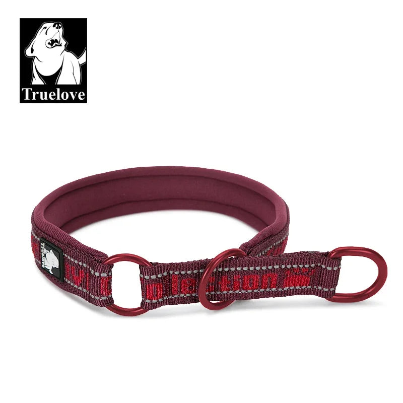 Truelove Neoprene Padded Reflective Dog Collar - TLC5371-My Little Pet