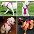 Adjustable Reflective Dog Harness - Breathable Vest for All Dog Sizes-My Little Pet