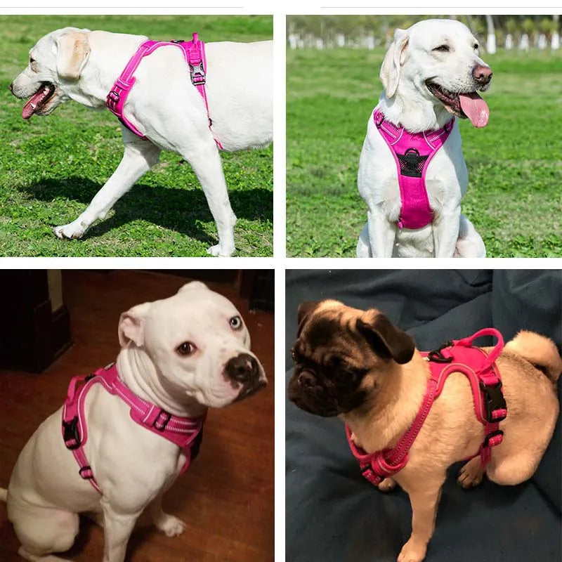 Adjustable Reflective Dog Harness - Breathable Vest for All Dog Sizes-My Little Pet