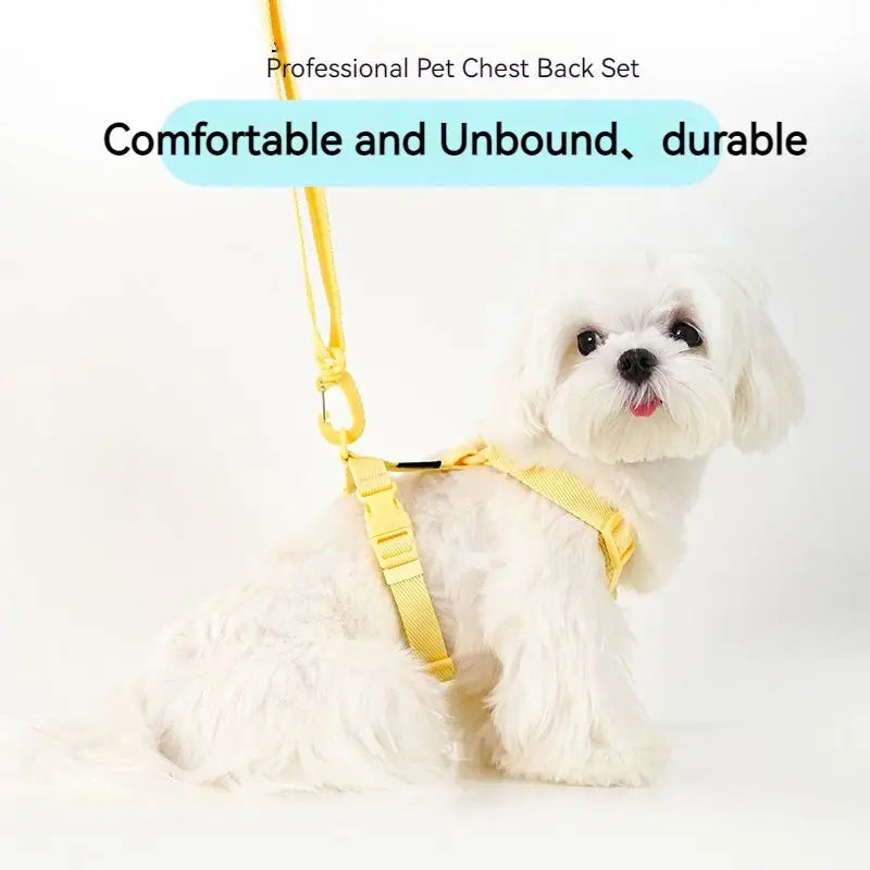 Macarone Color Pet Harness and Leash Set for Small Dogs and Cats-My Little Pet