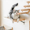 Wall-Mounted Wooden Cat Climbing Shelves - Four-Step Stair with Hammock-My Little Pet