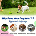 Self-Activated Squeaky Chew Ball for Cats and Dogs – Fun, Training, and Teeth Cleaning Toy-My Little Pet