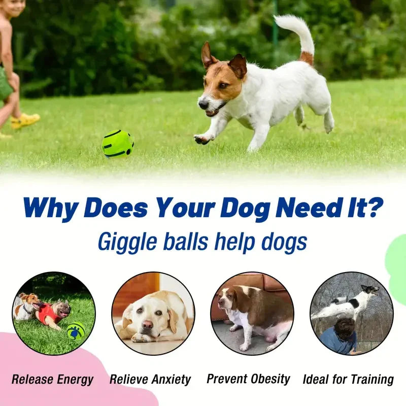 Self-Activated Squeaky Chew Ball for Cats and Dogs – Fun, Training, and Teeth Cleaning Toy-My Little Pet