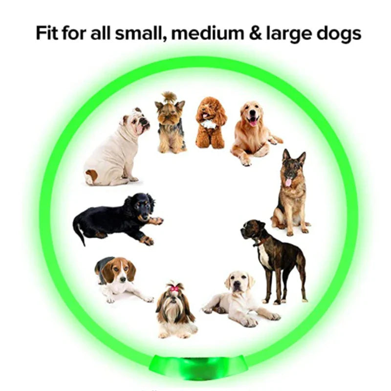 Rechargeable LED Dog Collar - Adjustable, Luminous Safety Collar for Pets-My Little Pet