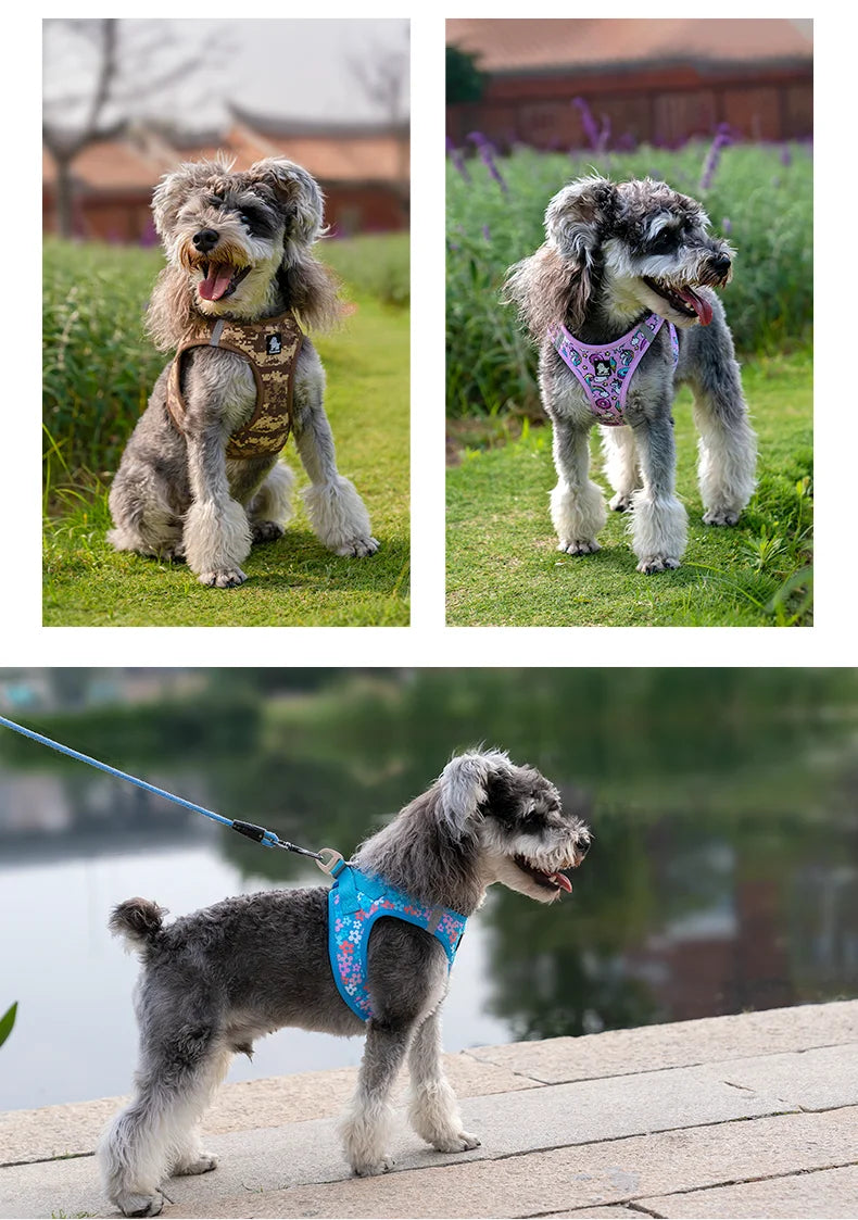 Truelove Adjustable No-Pull Dog Harness for Small and Medium Breeds-My Little Pet