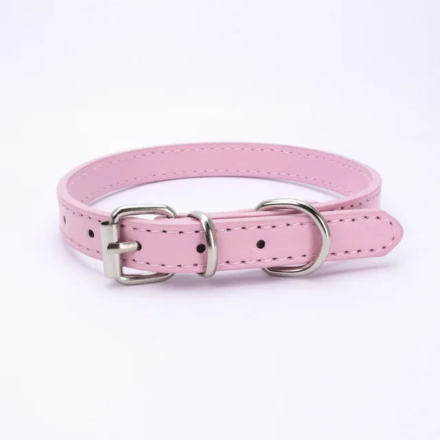 Adjustable Dog Collar with Alloy Buckle - Available in Multiple Colors-My Little Pet