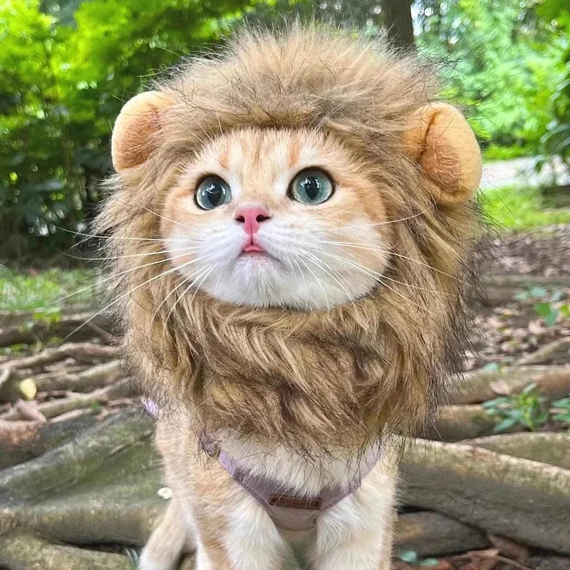 Lion Mane Cat Costume Wig-My Little Pet