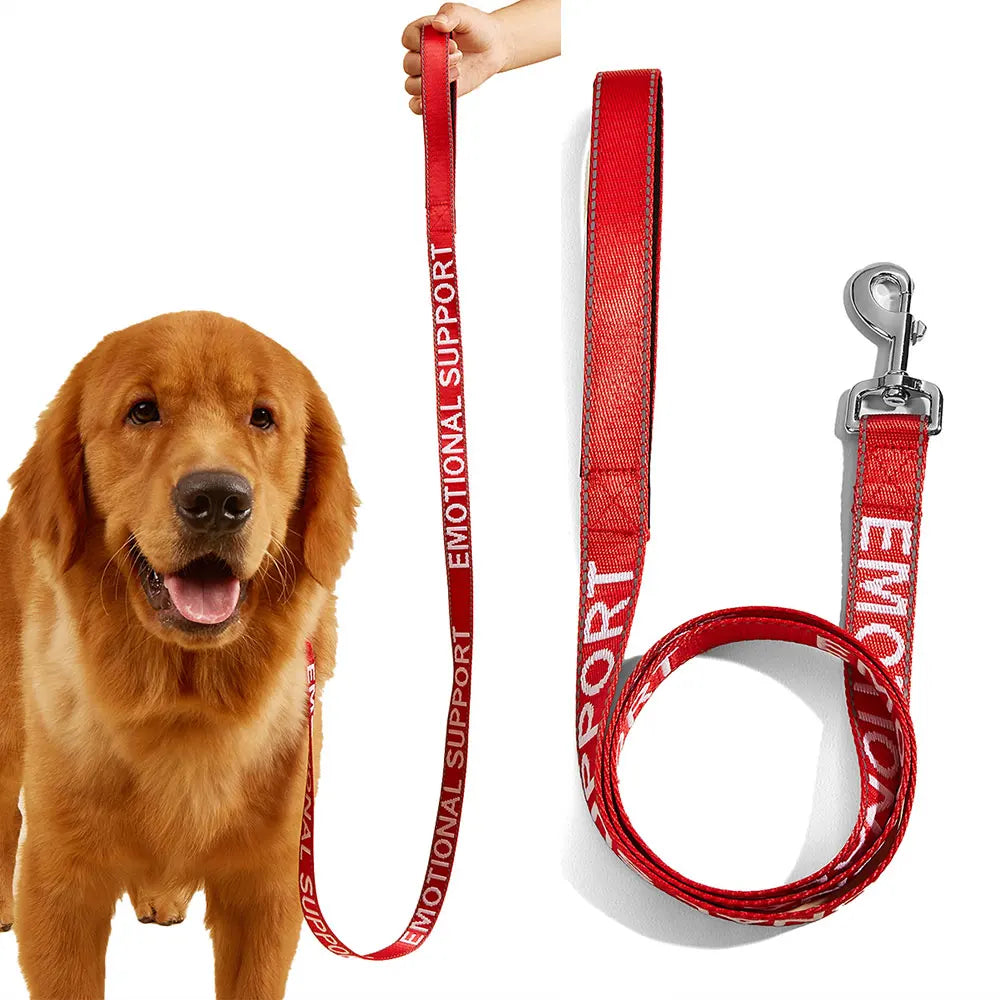 Reflective Nylon Leash for Small Pets - Ideal for Dogs and Cats-My Little Pet