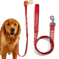 Reflective Nylon Leash for Small Pets - Ideal for Dogs and Cats-My Little Pet