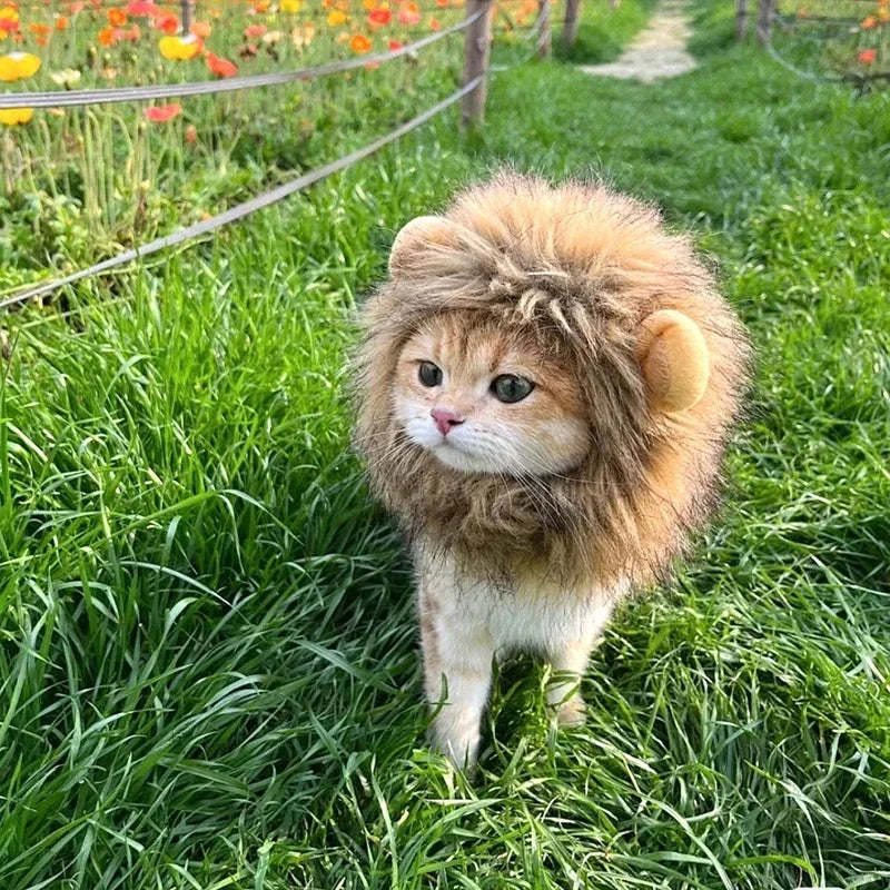 Lion Mane Cat Costume Wig-My Little Pet