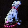 CC SIMON Rechargeable LED Dog Collar - Enhanced Night Safety with Multiple Flash Modes-My Little Pet