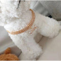 Elegant Adjustable Pet Collar with Zircon Bone Pendant-My Little Pet