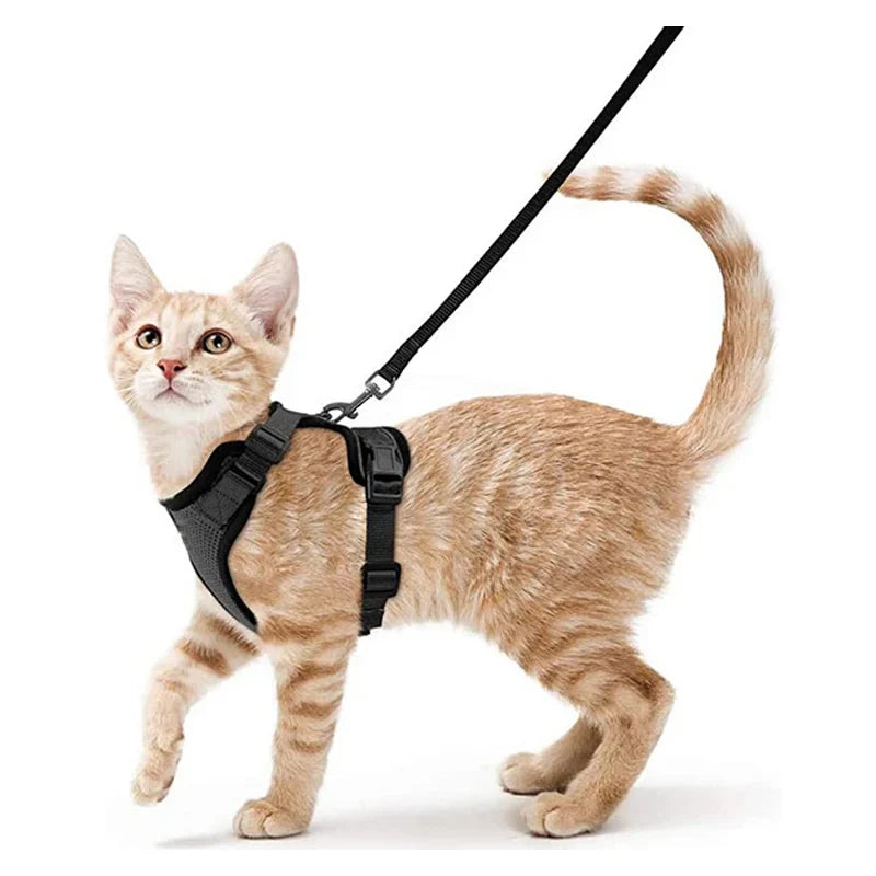 Escape-Proof Cat Harness and Leash – Soft Adjustable Vest for Walking-My Little Pet