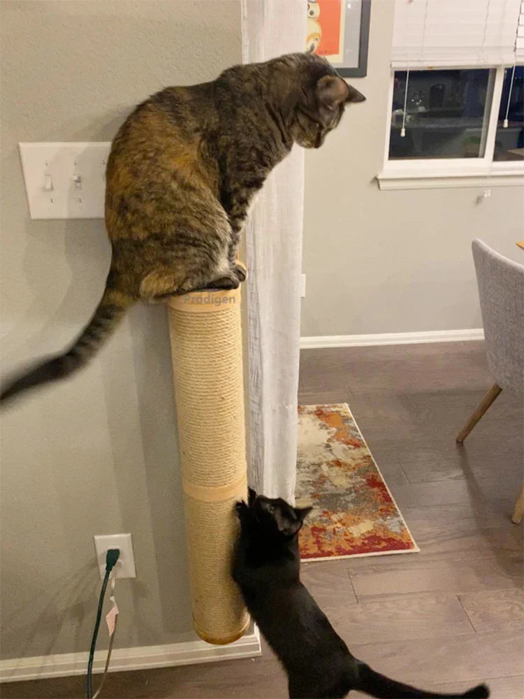 Wall-Mounted Cat Scratching Post with Wooden Base-My Little Pet