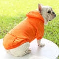 Stylish Dog Hoodie for Autumn and Winter - Warm Polyester Sweater for Small Pets-My Little Pet