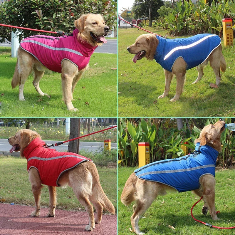 Reflective Waterproof Winter Dog Jacket for Large Breeds-My Little Pet