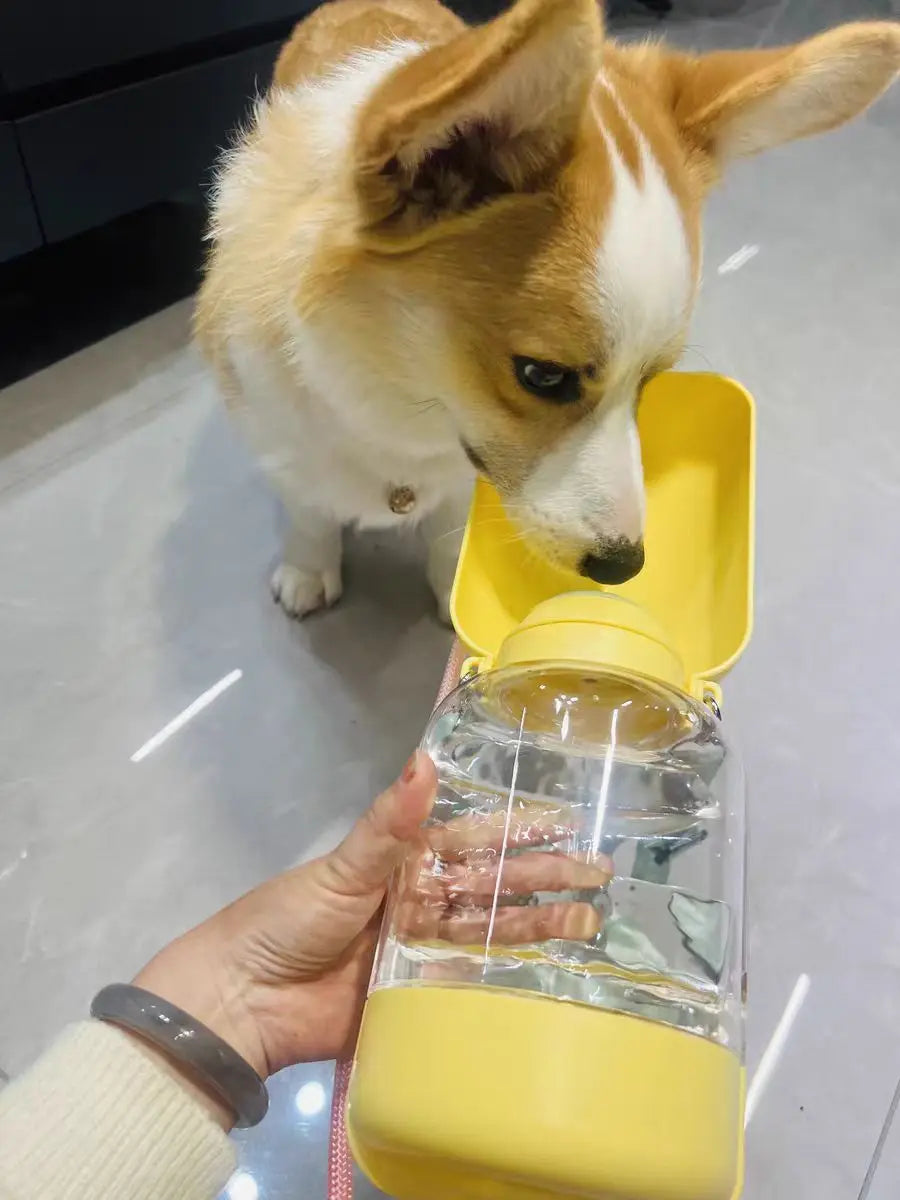 Portable 2-in-1 Dog Water Bottle & Food Container-My Little Pet