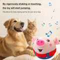 Interactive USB Rechargeable Pet Toy Ball with Sound and Movement-My Little Pet