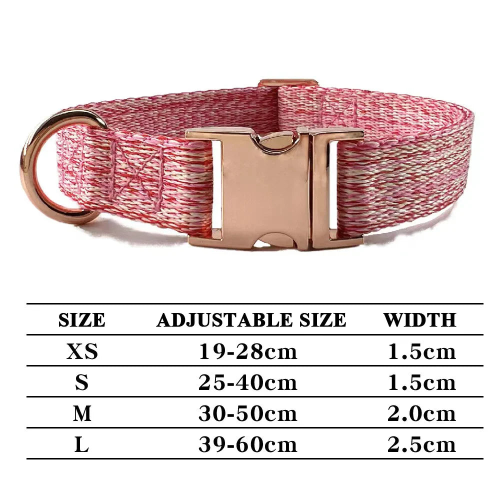 Personalized Dog Collar and Leash Set with Engraved Nameplate-My Little Pet